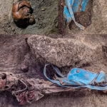 Remains in Chemmani Mass Grave